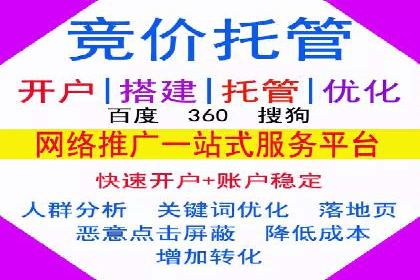 某电商平台的SEM广告投放策略及效果评估